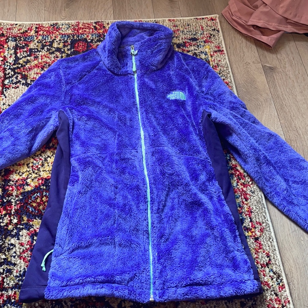 North face jacket (frayed zipper)